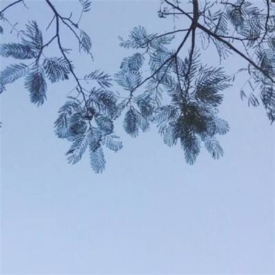 枪卡幻想腾讯版下载